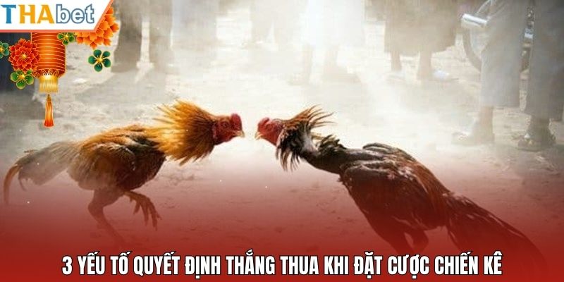 3 yếu tố quyết định thắng thua khi đặt cược chiến kê