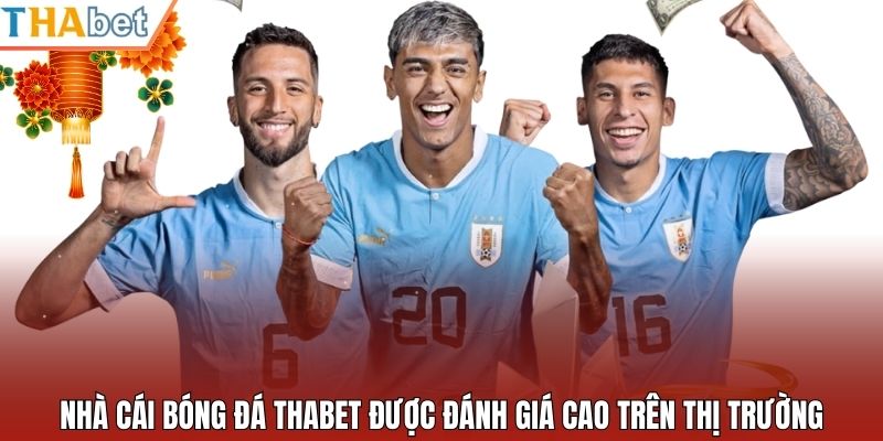 Nhà cái bóng đá Thabet được đánh giá cao trên thị trường