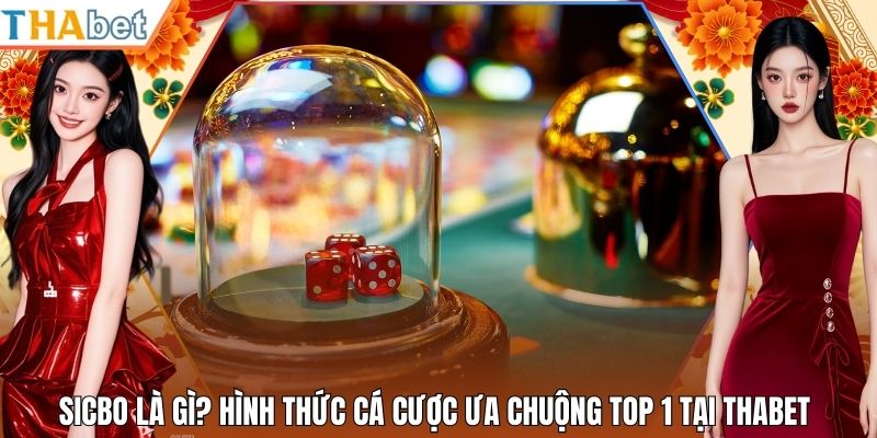 Sicbo Là Gì? Hình Thức Cá Cược Ưa Chuộng Top 1 Tại Thabet