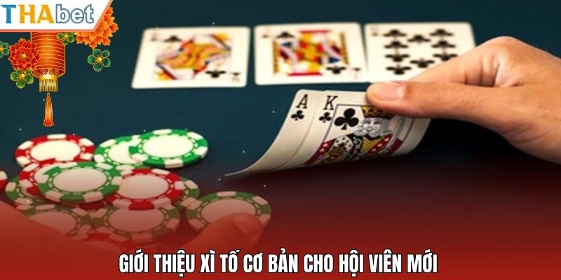 Giới thiệu xì tố cơ bản cho hội viên mới 